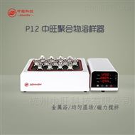 P12聚合物溶樣器(qì)